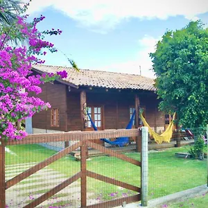 https://mandala-chals.santa-catarina-brasil.com